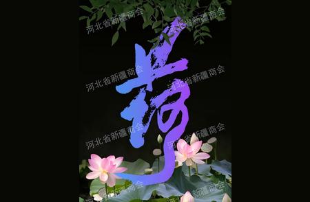 河北新疆商会会长李鑫东的书法艺术——荷花之美