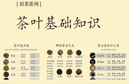 茶叶知识大全：一篇文章掌握所有基础