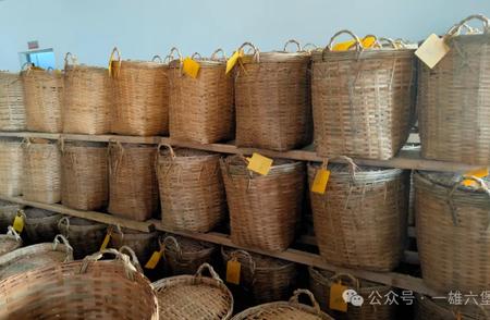 梧州六堡茶：穿越国界的世界茶旅