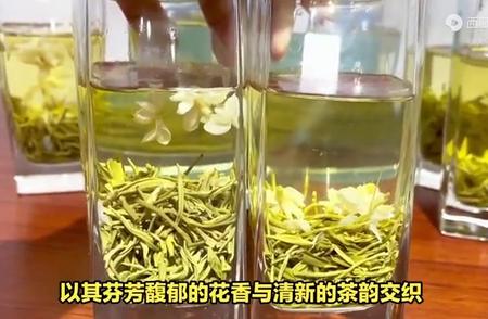 茉莉花茶：绽放的花朵与醇厚茶香