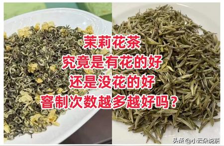 人间至香茉莉花茶：探究带花与无花之辩