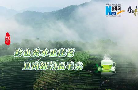 中国茶旅 | 探秘贵州的山水之间，品味都匀毛尖