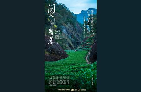 武夷山的宝藏：一探闽人传承的岩茶神话