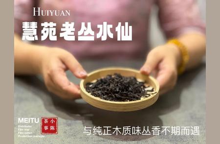 春茶季的三段传奇：制茶师的性格与智慧大揭秘