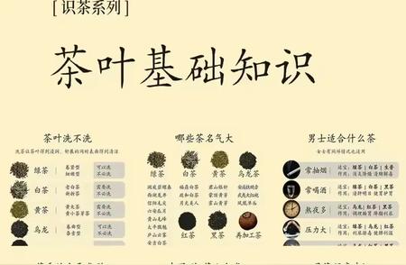 茶叶入门：掌握所有基础知识只需一读