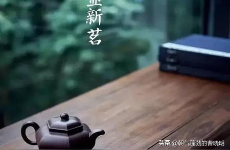 中国十大名茶赏析：信阳毛尖的独特魅力