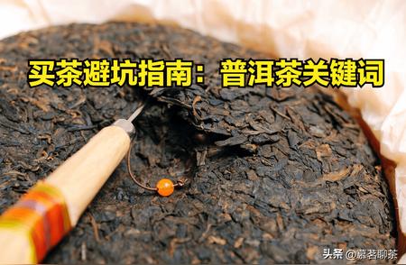 掌握普洱知识：100个关键词带你深入了解普洱茶