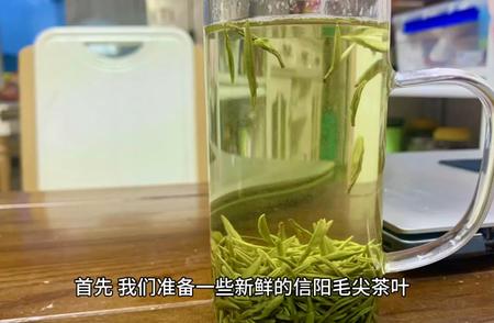 信阳毛尖茶的精心制作之旅