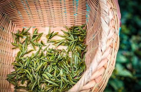 春季绿茶价格下降，行业专家推荐：尝鲜为主，购买量宜少