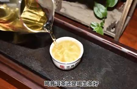 普洱生茶与熟茶：哪个更适合你？