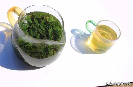 揭秘饮茶与钙质流失的关系：科学解读健康饮茶之道
