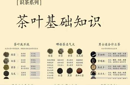 初学者必备：茶叶基础知识全解析