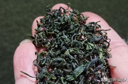 松阳香茶：龙井43茶青的醇厚之旅