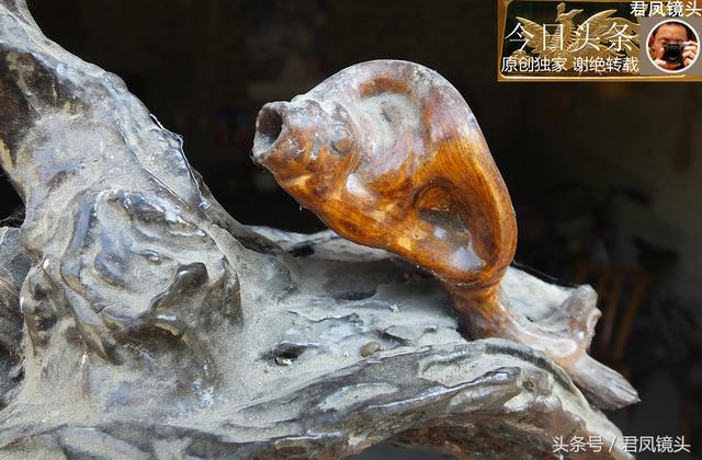 湖北宜昌：农民创作的根雕作品躺在家里睡大觉！哪件最值钱？