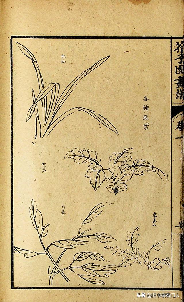 艺术类学画必修之书－《芥子园画谱·草虫花卉谱》