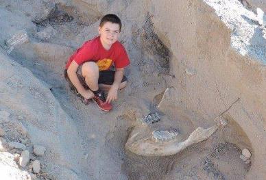 小孩意外发现120万年前的生物化石，专家鉴定为“无价之宝”